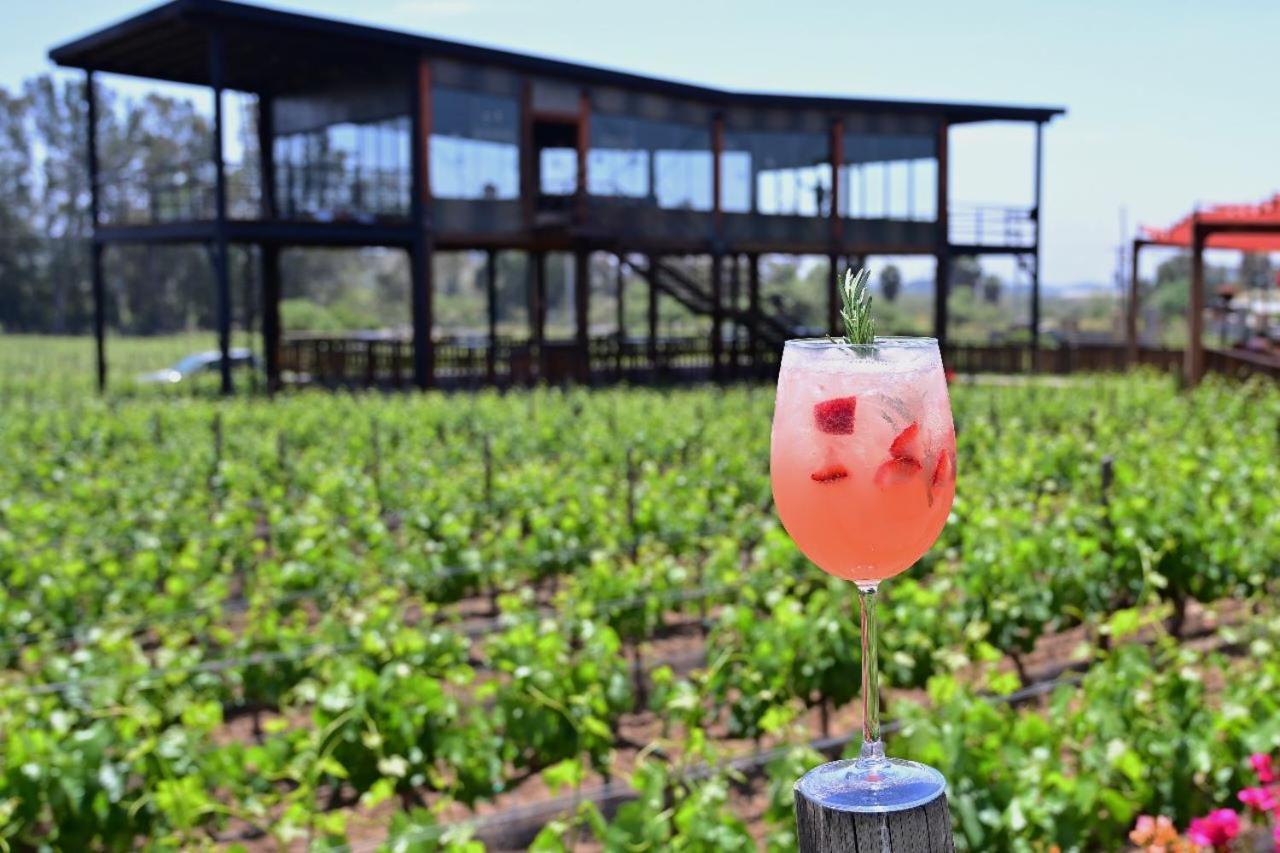 Don Tomas Vinedo Cabanas Valle de Guadalupe Exterior foto