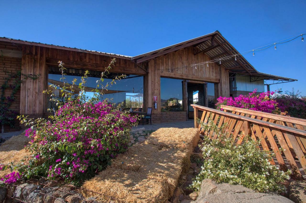 Don Tomas Vinedo Cabanas Valle de Guadalupe Exterior foto