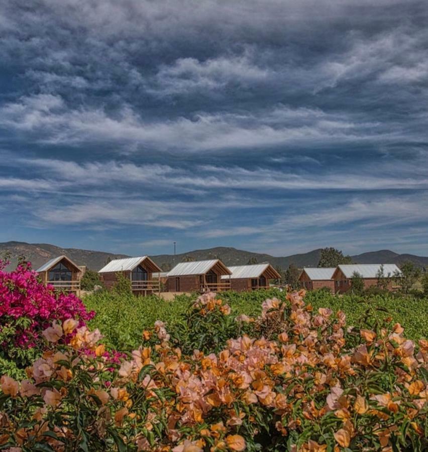Don Tomas Vinedo Cabanas Valle de Guadalupe Exterior foto
